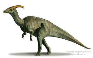 Parasaurolophus-1 (2)